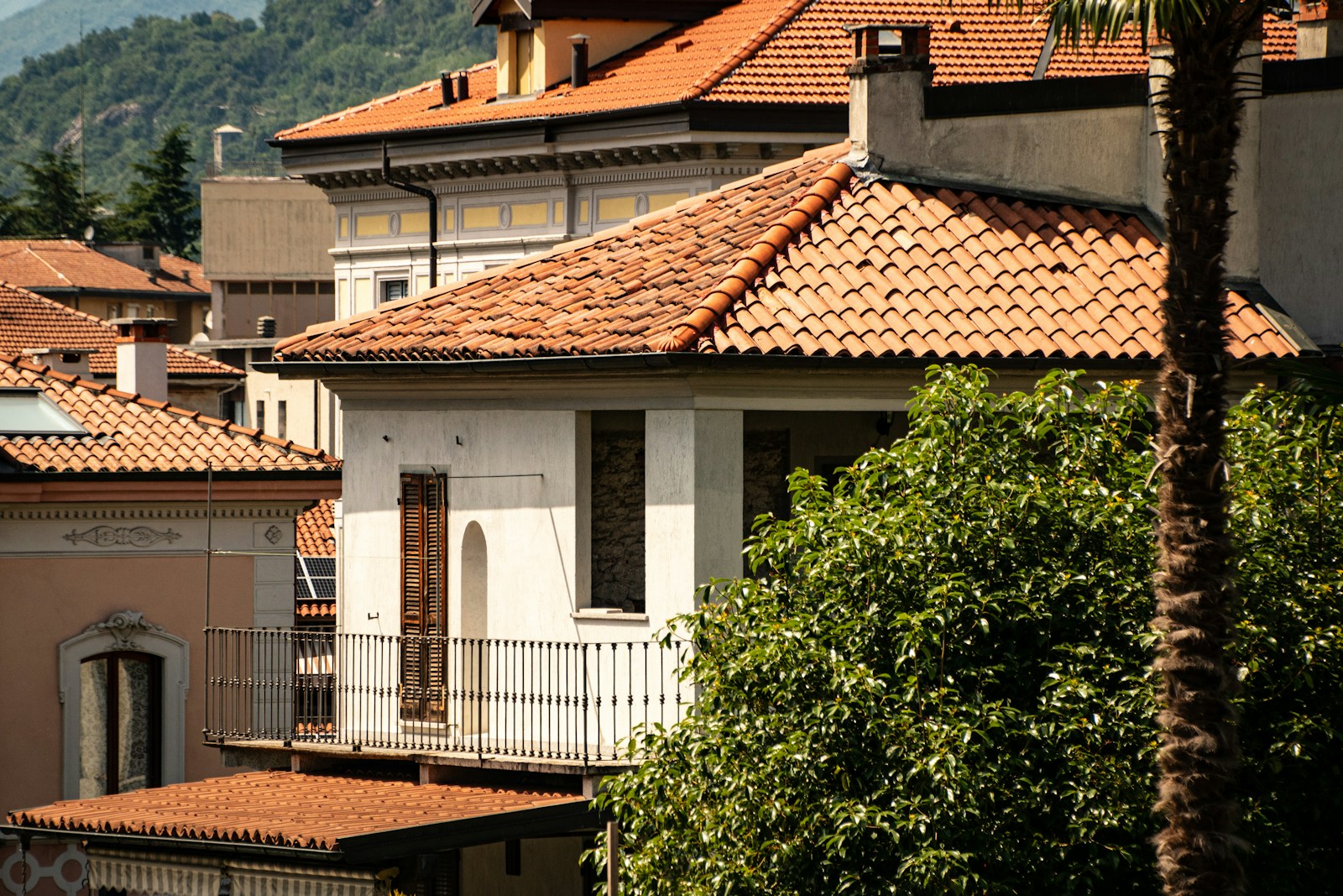a row of houses with a mountain in the background
